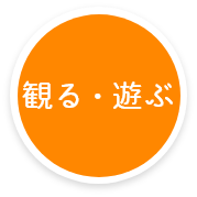 観る・遊ぶ